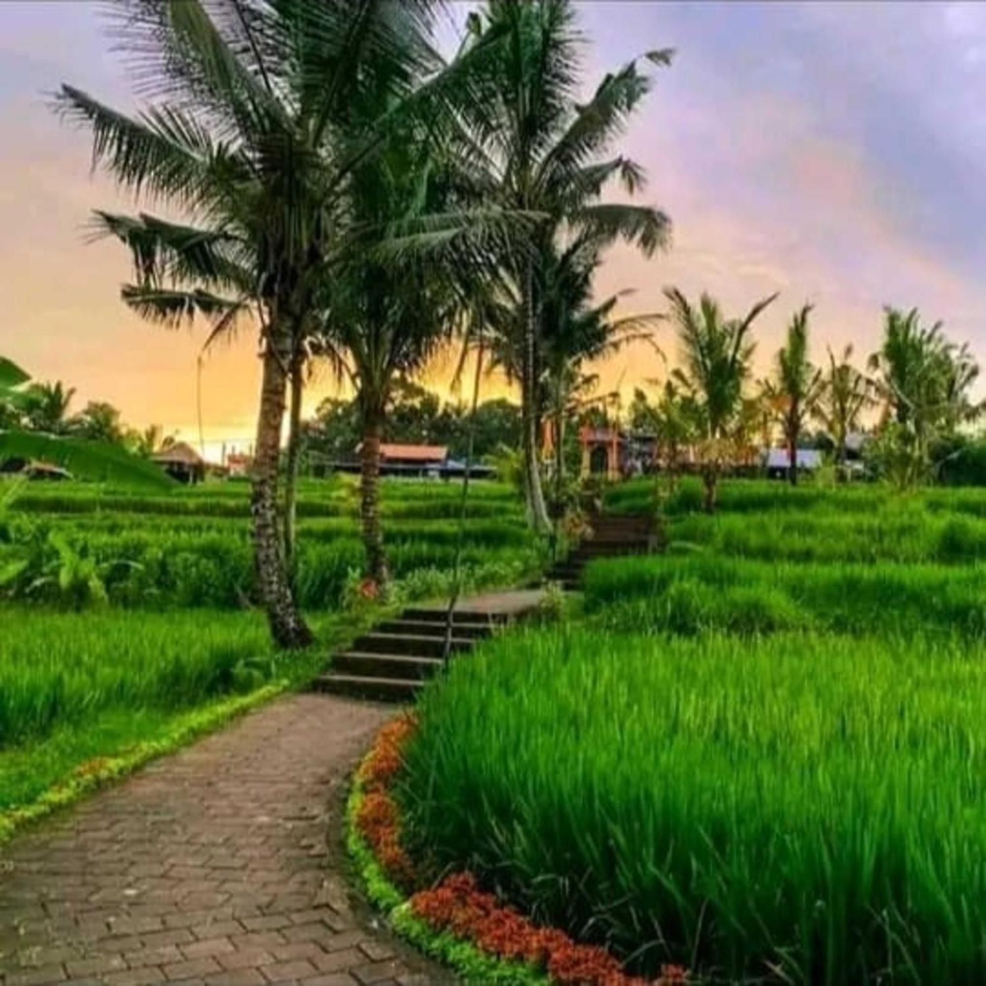 Pondok Kungkang Villa 2 Ubud Eksteriør bilde